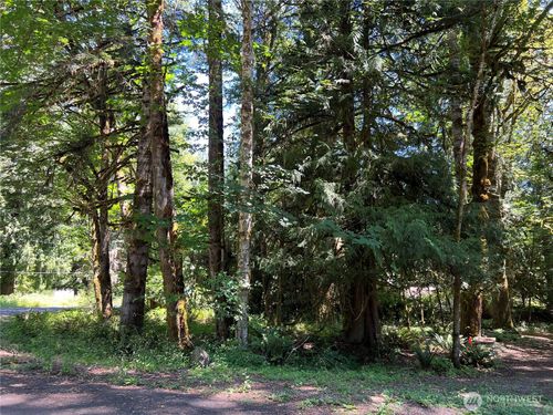 0 Mountain Trail Ct, Brinnon, WA, 98320 | Card Image