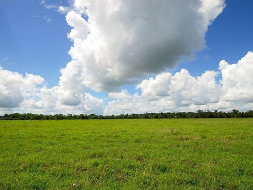 000000 Guyler Rd, Simonton, TX, 77476 | Card Image