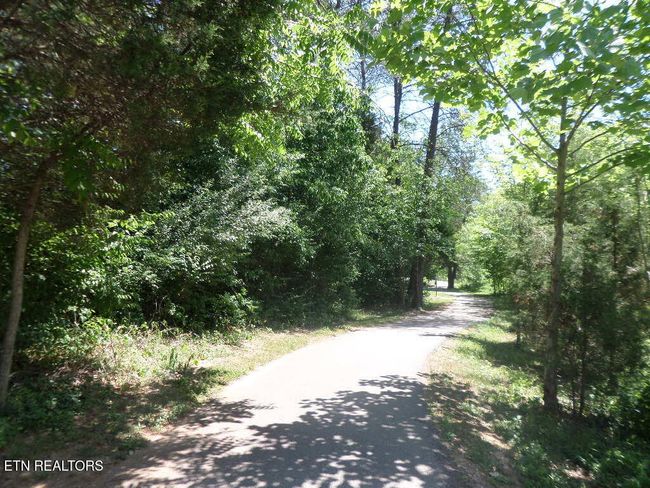 There Are Miles Of Greenway Trails Throughout The City | Image 51