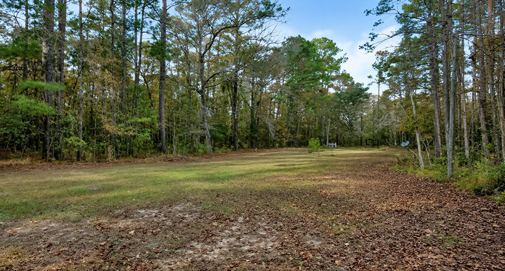 Land in Ravenel 2