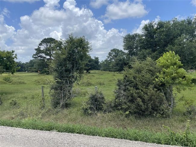 0 Davis Bend Rd, Home with 0 bedrooms, 0 bathrooms and null parking in Alvin TX | Image 16
