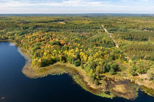 Lot 2 Turtle Ln Nw, Walker, MN, 56484 | Card Image