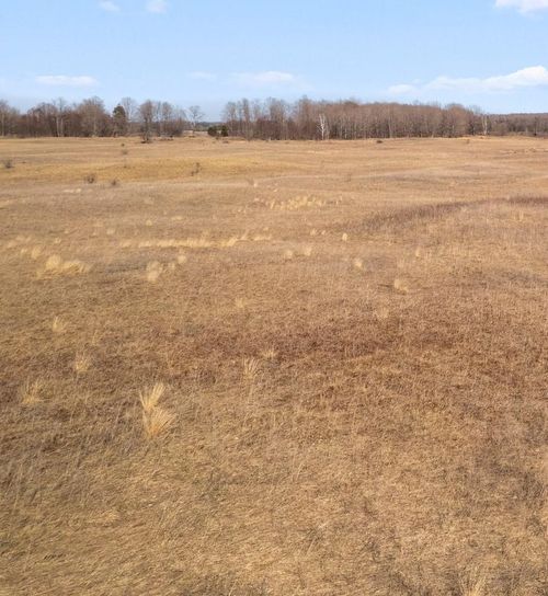 7443 Brady Rd, Onaway, MI, 49765-8768 | Card Image