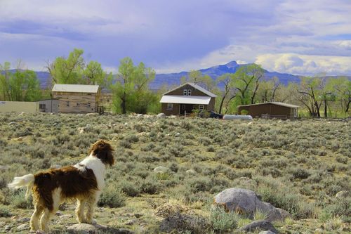 52 Road 8uc, Powell, WY, 82435-8134 | Card Image