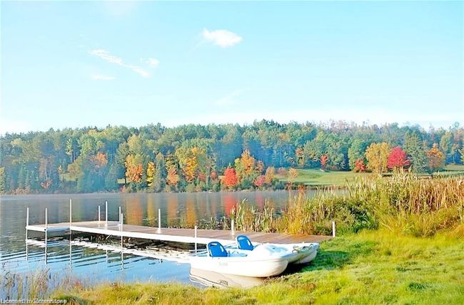 2937 Old Barrys Bay Rd, House other with 0 bedrooms, 0 bathrooms and 22 parking in Madawaska Valley ON | Image 10