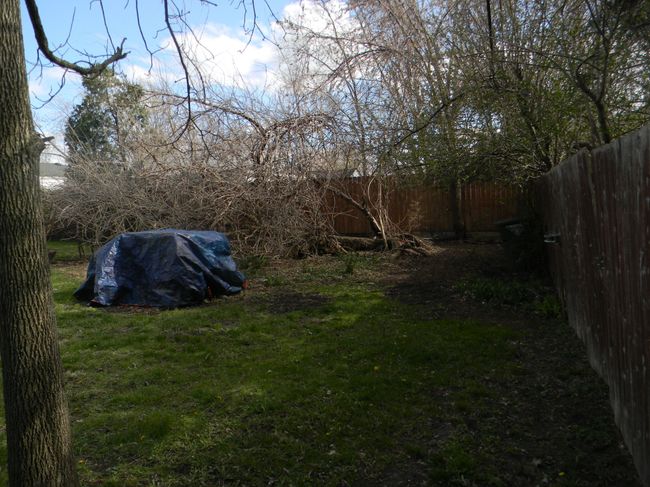 23311 Panama Ave, House other with 3 bedrooms, 1 bathrooms and null parking in Warren MI | Image 22