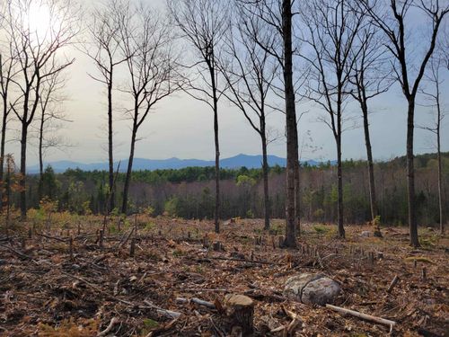 238-1-1.3 Maple Grove Road, Madison, NH, 03849 | Card Image