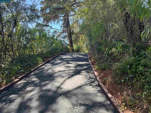 919 Janet Ln, Lafayette, CA, 94549-4718 | Card Image