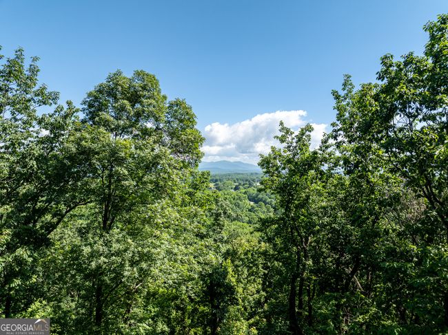 3.65AC Emory Stephens Rd, Home with 0 bedrooms, 0 bathrooms and null parking in Murrayville GA | Image 4