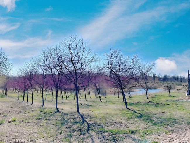 5770 Denhoff Rd, Home with 0 bedrooms, 0 bathrooms and null parking in Kingston MI | Image 12