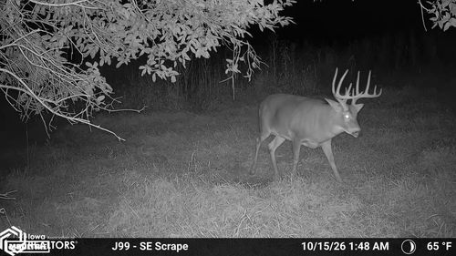 TBD 270th St, Birmingham, IA, 52535 | Card Image