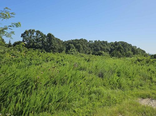 000 Tiki Trail Lots 3 & 4, Gainesville, MO, 65655 | Card Image