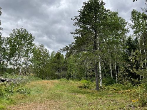 163 Pancore Lake Rd, Tofte, MN, 55615 | Card Image