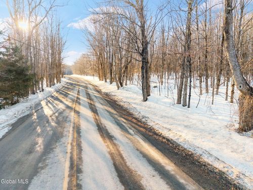 L1.2 Broome Center Rd, Preston Hollow, NY, 12469 | Card Image