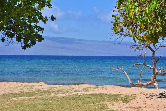 APT-110 - 3691 Lower Honoapiilani Rd, Condo with 1 bedrooms, 1 bathrooms and null parking in Lahaina HI | Image 47