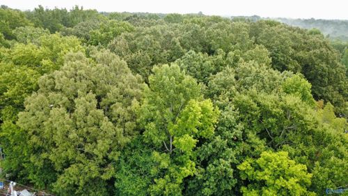 1 acre Honea Rd, Hazel Green, AL, 35750 | Card Image