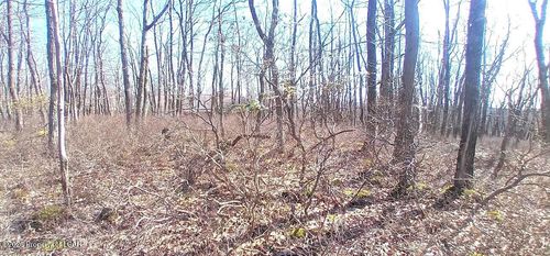 WS Lot 397 Horseshoe Dr, Hazleton, PA, 18202 | Card Image