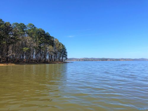 Lot 4 Little River Landing, Cedar Bluff, AL, 35959 | Card Image