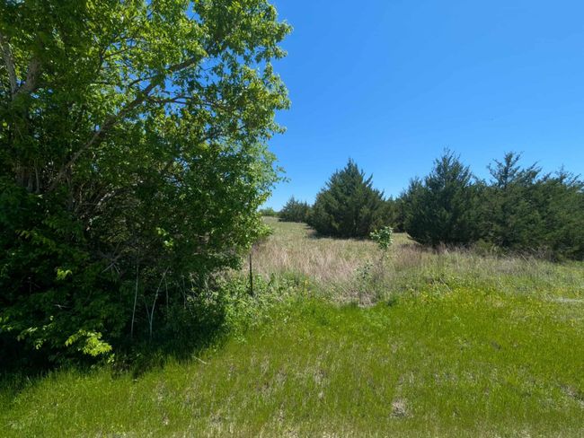 View of local wilderness | Image 7