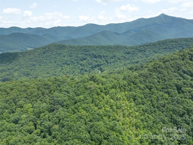 000 White Rock Branch Rd, Home with 0 bedrooms, 0 bathrooms and null parking in Candler NC | Image 24