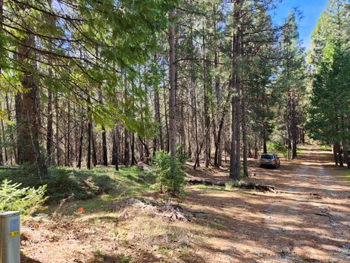 5303 Old Mine Rd, Grizzly Flats, CA, 95636 | Card Image