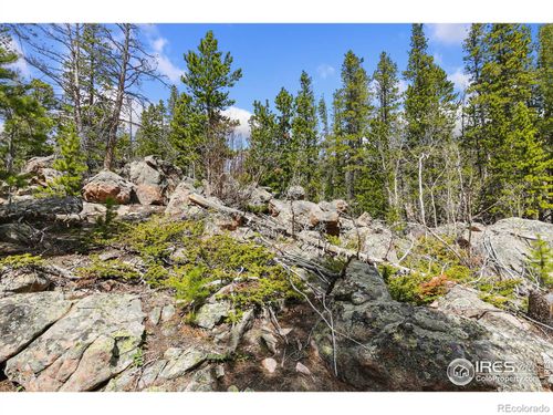 1238 Jicarilla Trl, Red Feather Lakes, CO, 80545 | Card Image