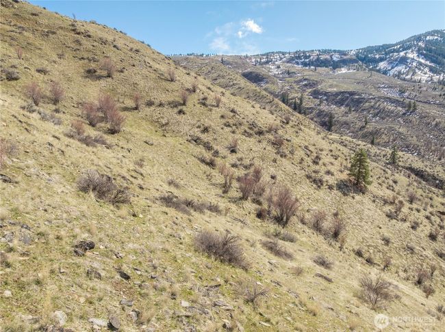 259 Juniper Ln, Home with 0 bedrooms, 0 bathrooms and null parking in Monitor WA | Image 21