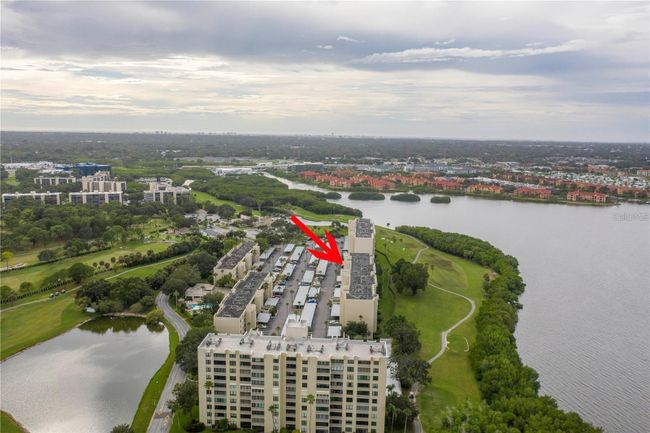 206 - 2617 Cove Cay Drive, Condo with 0 bedrooms, 1 bathrooms and null parking in Clearwater FL | Image 3