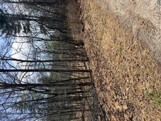 Land in Deerpark 2