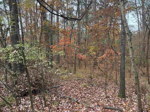 TBD Porsche Dr, Flint, TX, 75762 | Card Image