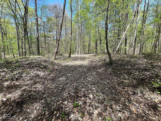 0 Possum Trot Rd, Home with 0 bedrooms, 0 bathrooms and null parking in Unionville IN | Image 5
