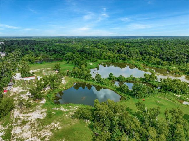 15859 Needham Rd, Home with 0 bedrooms, 0 bathrooms and null parking in Conroe TX | Image 11