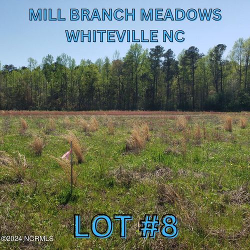 97 Mill Branch Drive, Whiteville, NC, 28472 | Card Image