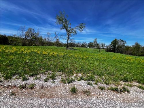1009 Legacy Lane, Perryville, MO, 63775 | Card Image