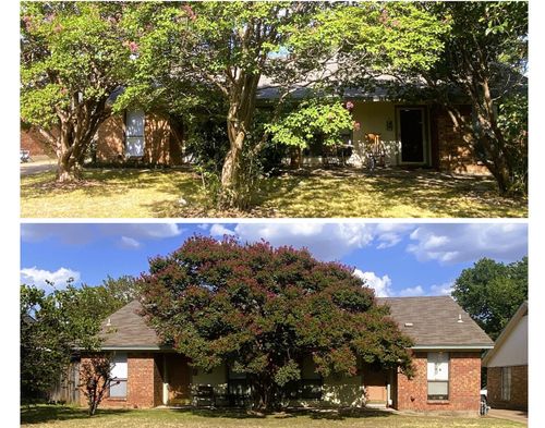 a-and-b-1105 Park St, Arlington, TX, 76011-4813 | Card Image