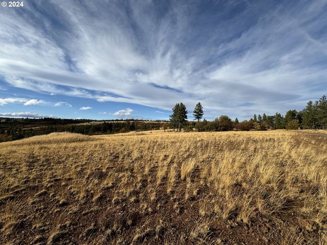 0 Jensen Quarry Rd, Home with 0 bedrooms, 0 bathrooms and null parking in Bickleton WA | Image 4