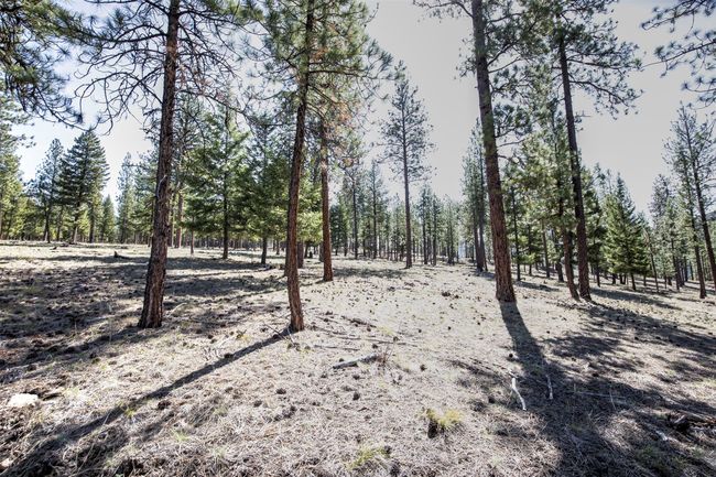 31760 Old Highway 10 W, Home with 0 bedrooms, 0 bathrooms and null parking in Alberton MT | Image 39