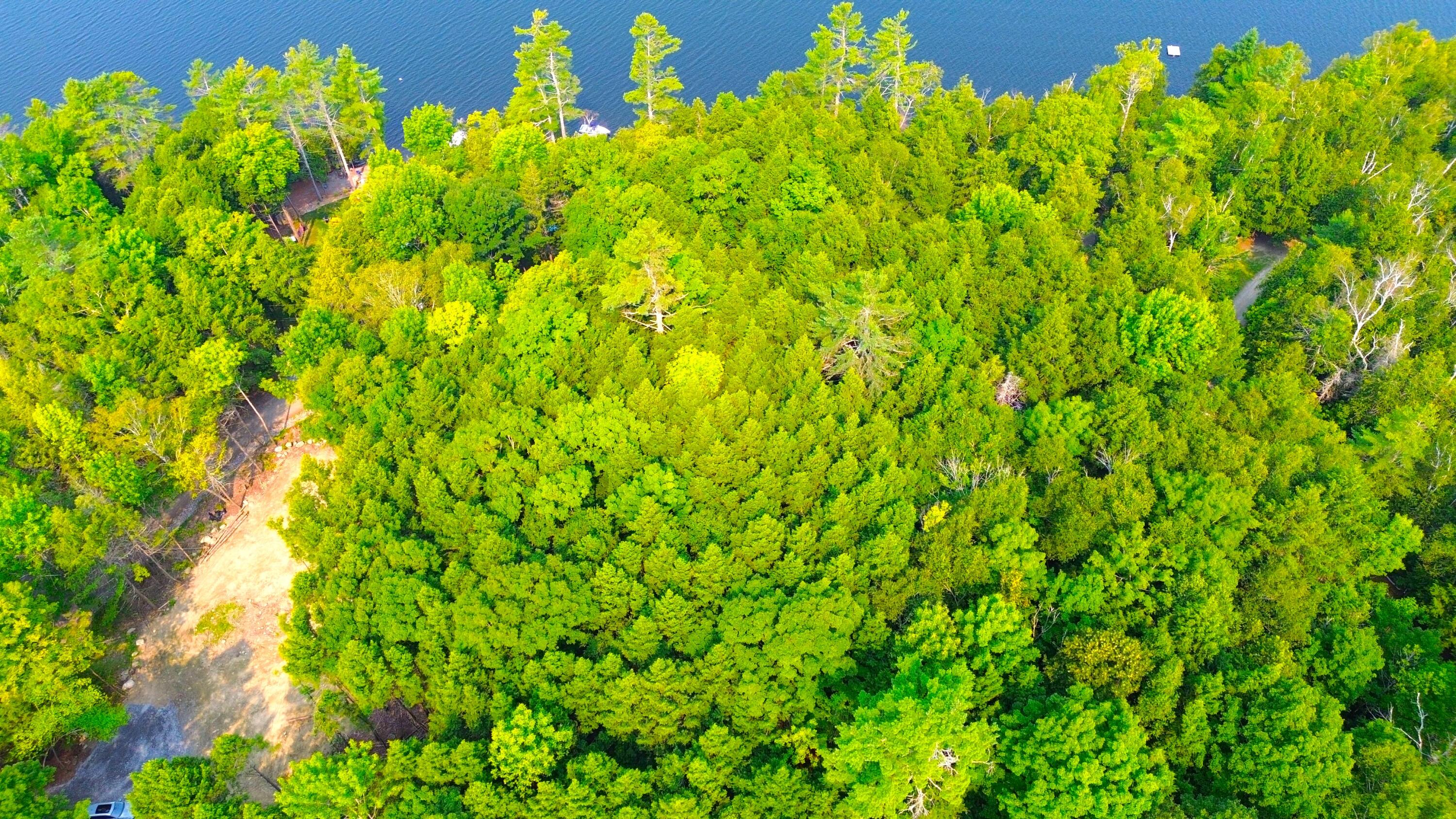 Land in Saint Albans 5