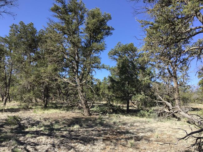 Lot 7 Red Fox Road, Home with 0 bedrooms, 0 bathrooms and null parking in Ramah NM | Image 33