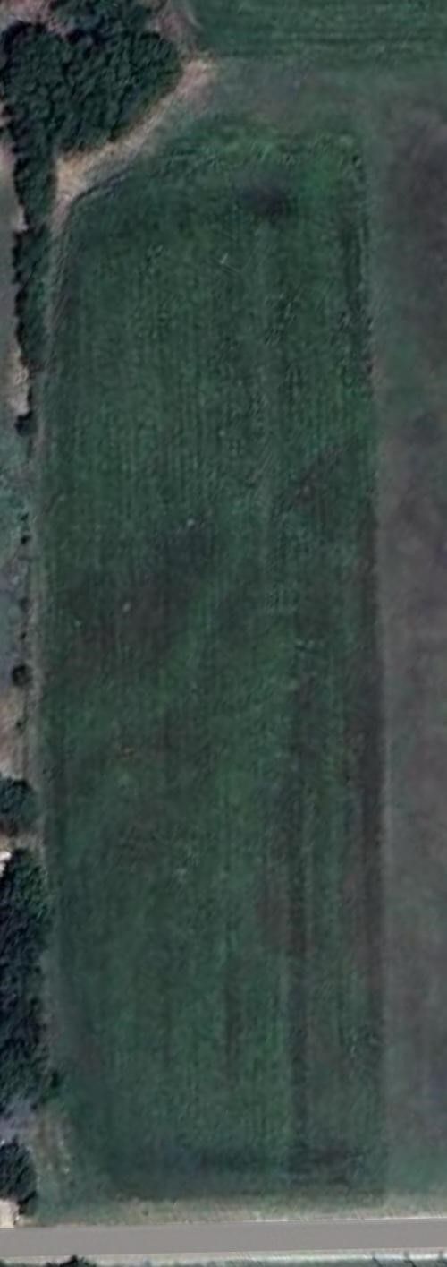 1035 Holder Rd, Forreston, TX, 76041-2105 | Card Image