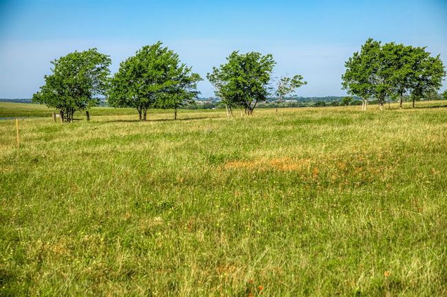 LOT-7 - 5005 Fuchs Rd, Home with 0 bedrooms, 0 bathrooms and null parking in Burton TX | Image 4