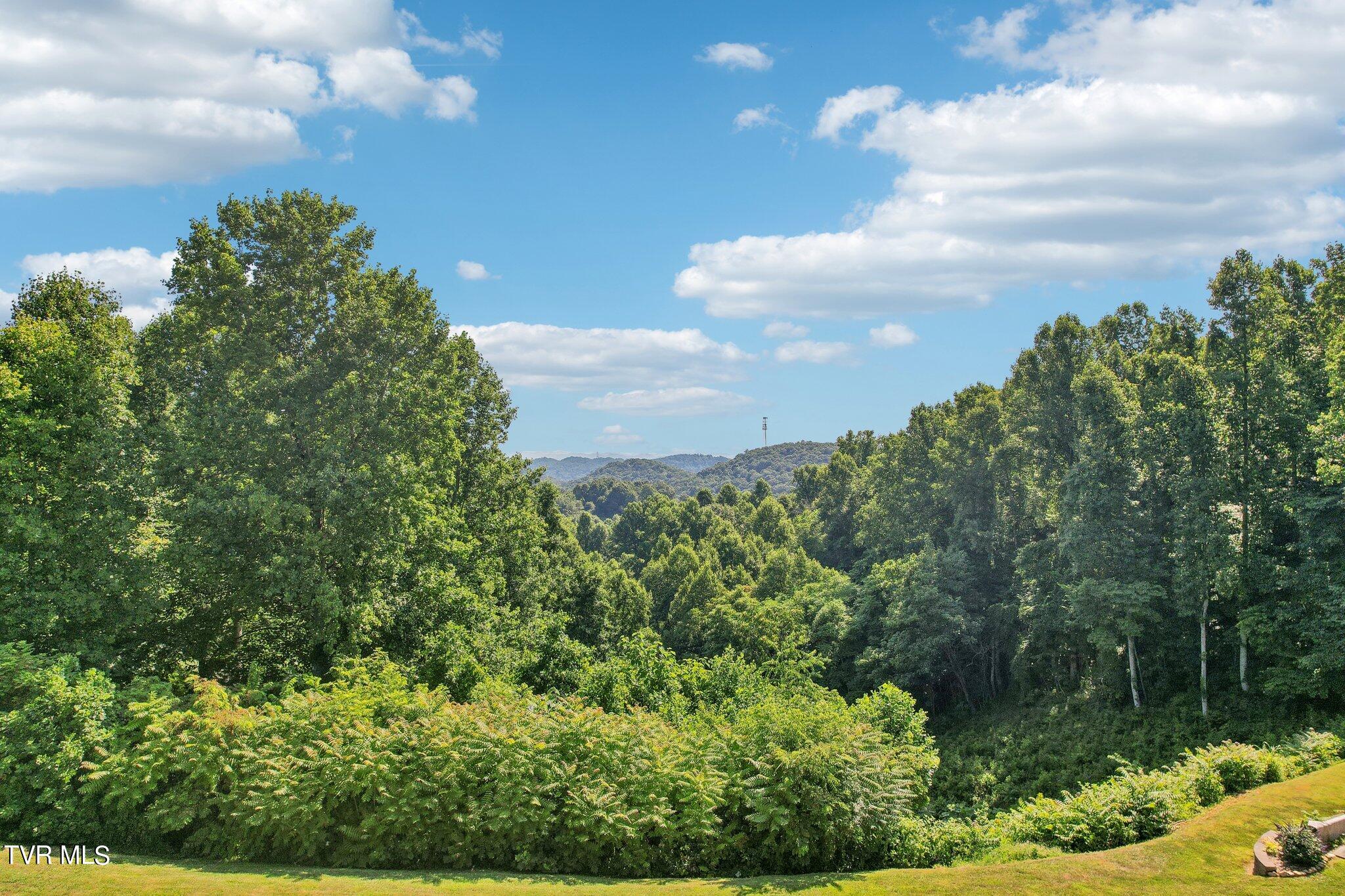 Hidden Acres Rd, Kingsport, TN 37664
