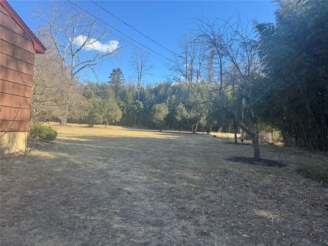 View of yard featuring a wooded view | Image 23