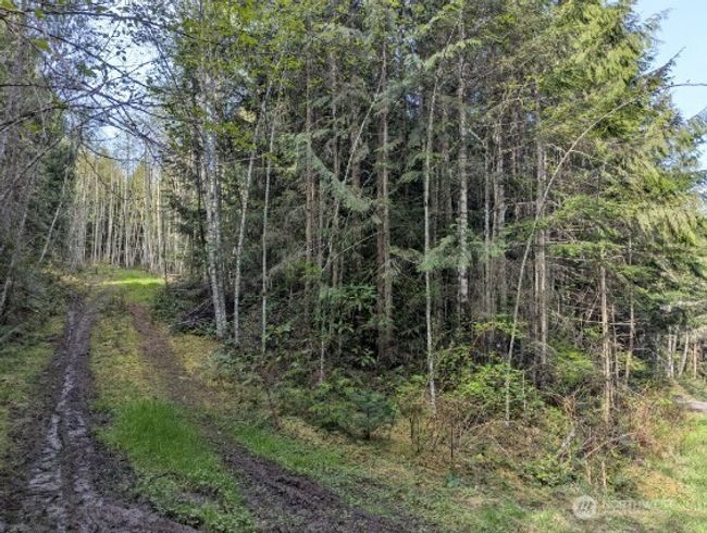 9999 Lone Tree Dr, Home with 0 bedrooms, 0 bathrooms and null parking in Sequim WA | Image 9