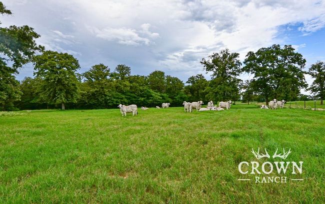 View of grassy yard featuring a rural view | Image 18