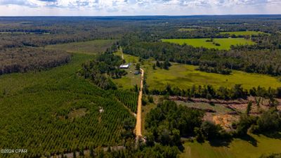 3253 Uncle Joes Lane, Home with 0 bedrooms, 0 bathrooms and null parking in Alford FL | Image 2