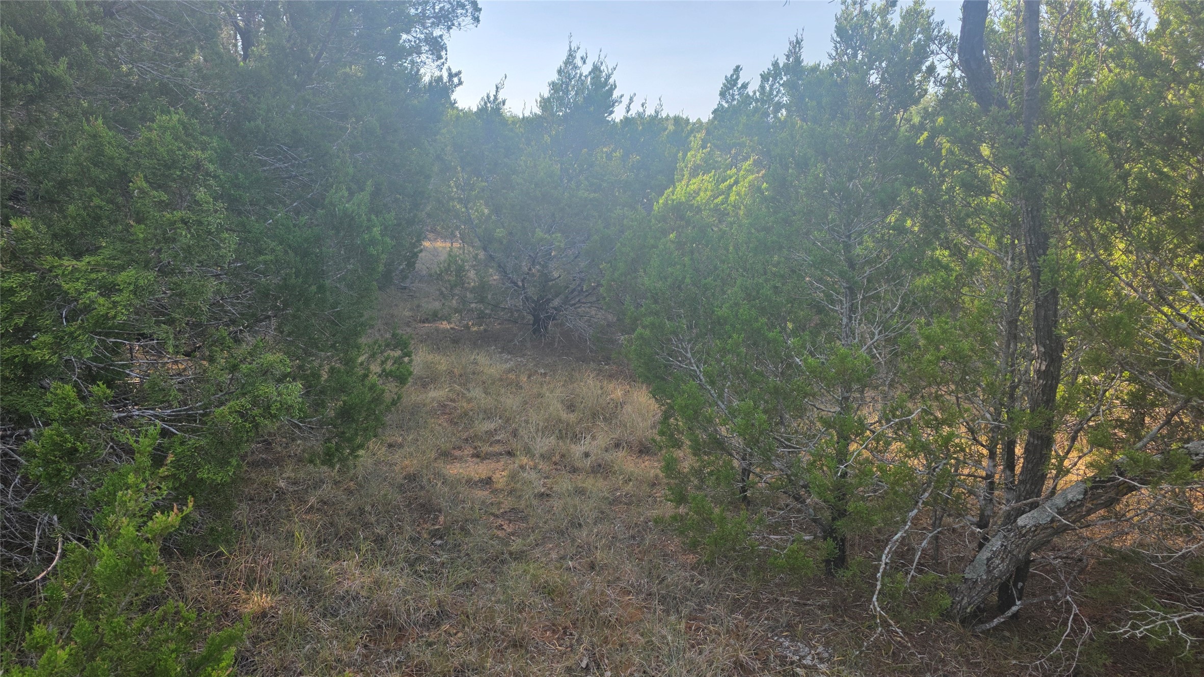 Land in Whitney 4
