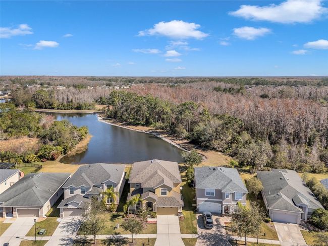 20209 Merry Oak Ave, House other with 6 bedrooms, 3 bathrooms and null parking in TAMPA FL | Image 36