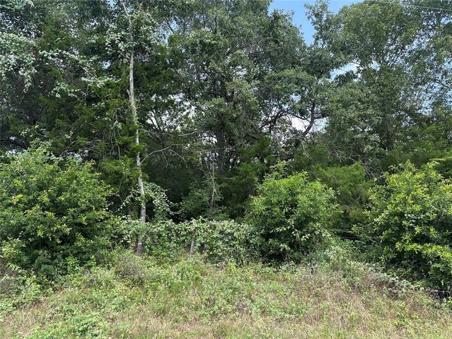 000000 Overlook Rd, Home with 0 bedrooms, 0 bathrooms and null parking in Caldwell TX | Image 11