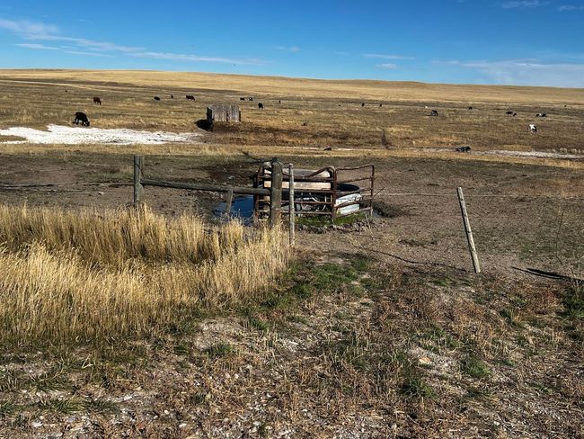 View of yard with a rural view and fence | Image 77
